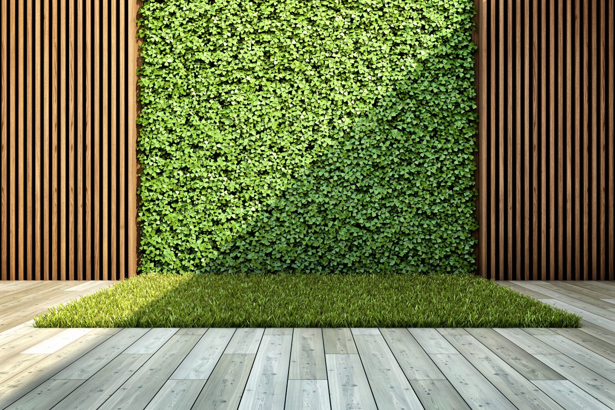 🌿 ✓ Giardini verticali e pareti verdi